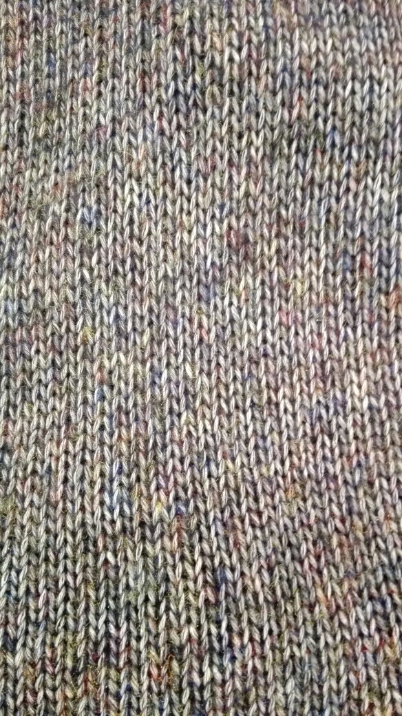 Img 20190907 115739 Resized 20190907 120430210 Tadzio